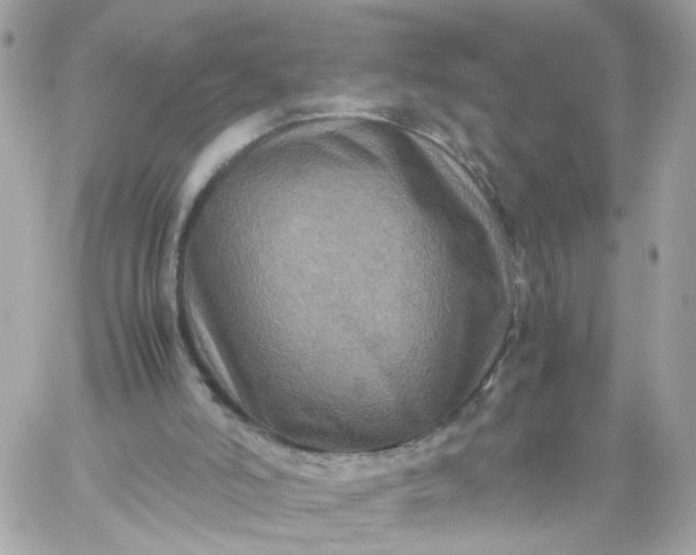 X0000059250006200510282008