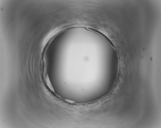 X0000059250007200510282008