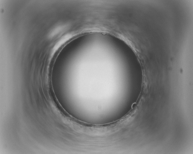 X0000059250008200510282007