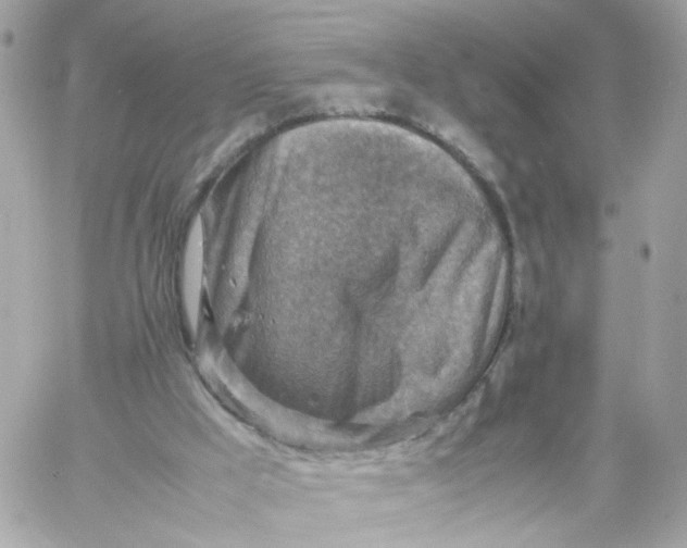 X0000059250009200510282007