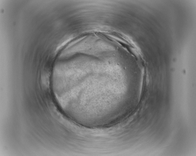 X0000059250010200510282007