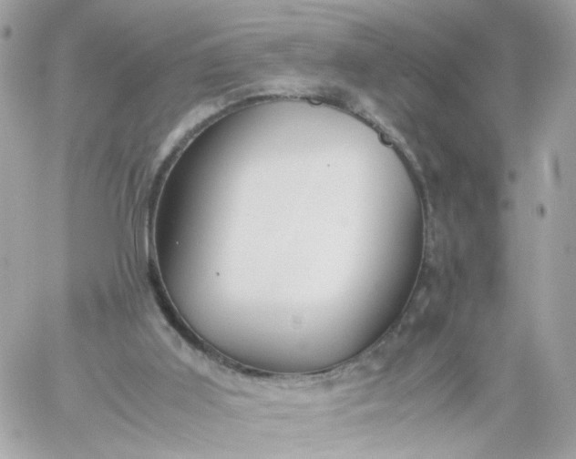 X0000059250011200510282007