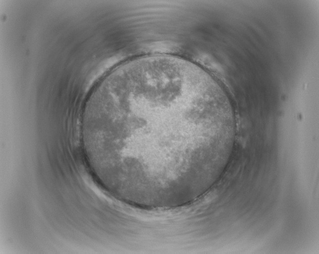 X0000059250012200510282007