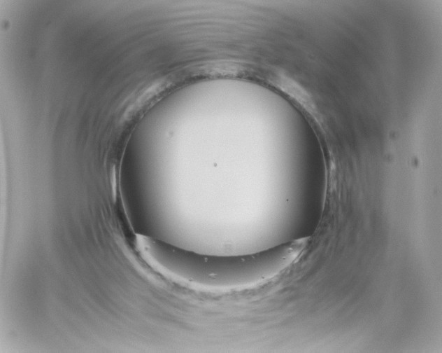 X0000059250013200510282007