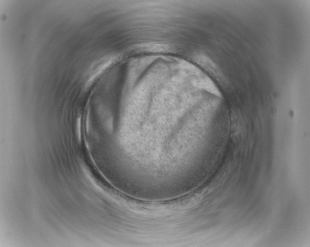 X0000059250014200510282007