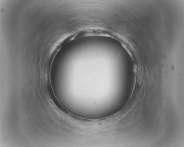 X0000059250015200510282007