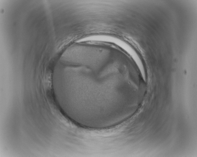 X0000059250017200510282007