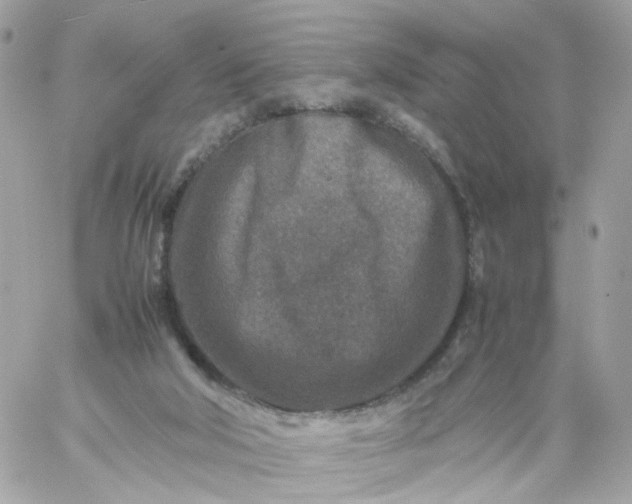 X0000059250018200510282007