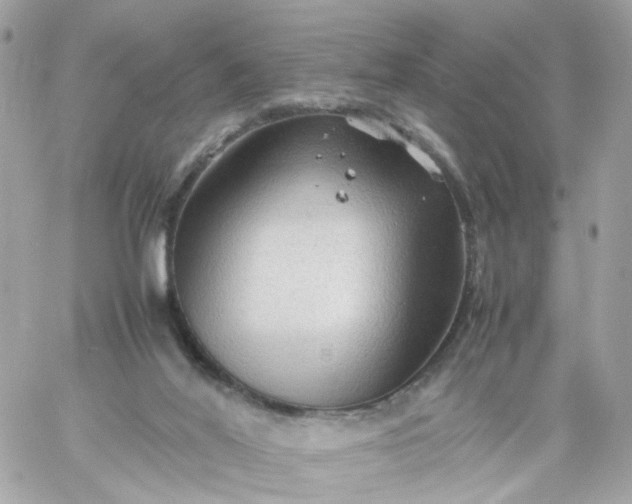 X0000059250020200510282007