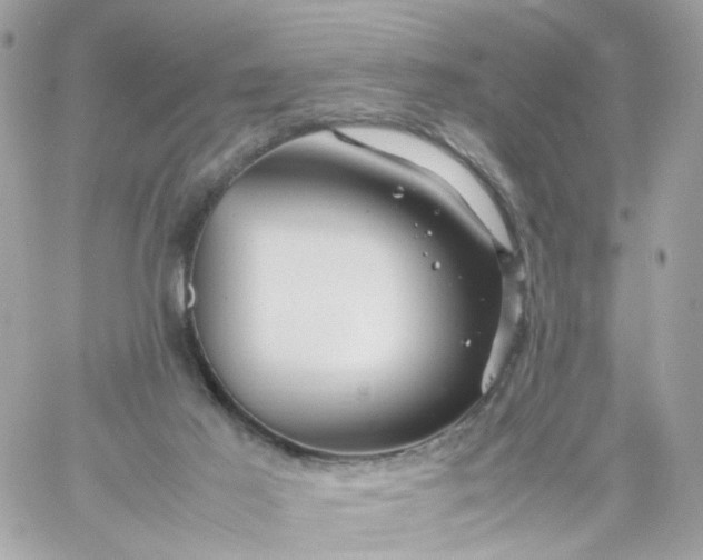 X0000059250021200510282007