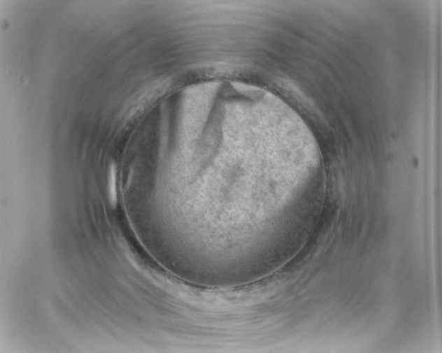 X0000059250022200510282007