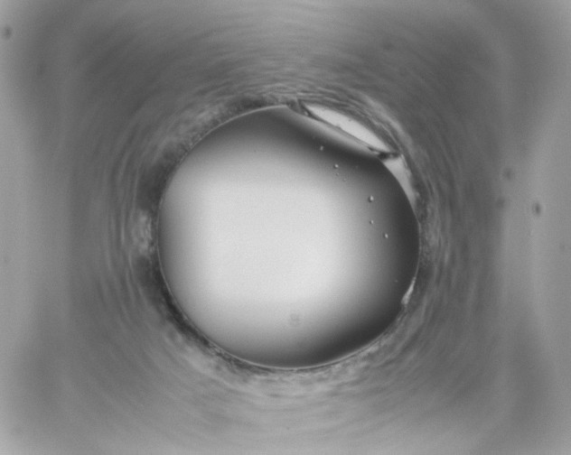 X0000059250025200510282007