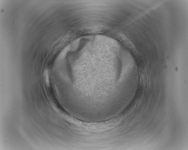 X0000059250026200510282007