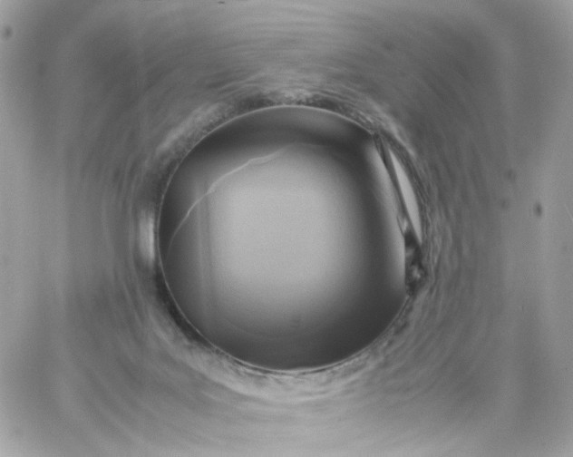 X0000059250027200510282007