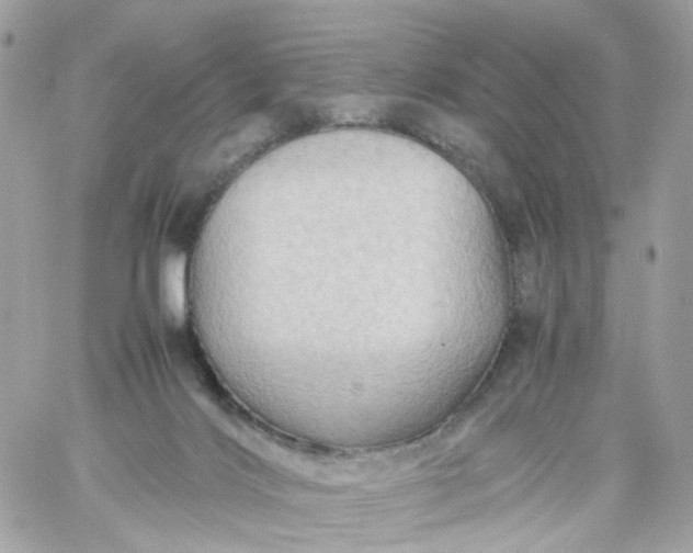 X0000059250028200510282007