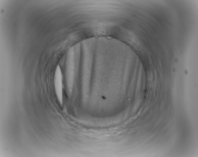 X0000059250029200510282007