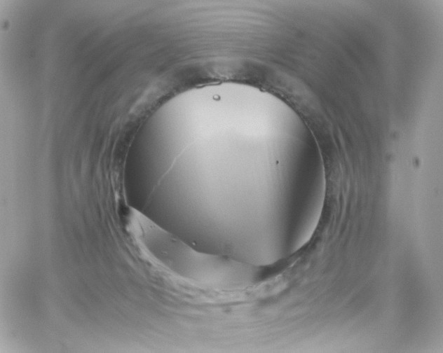 X0000059250031200510282007