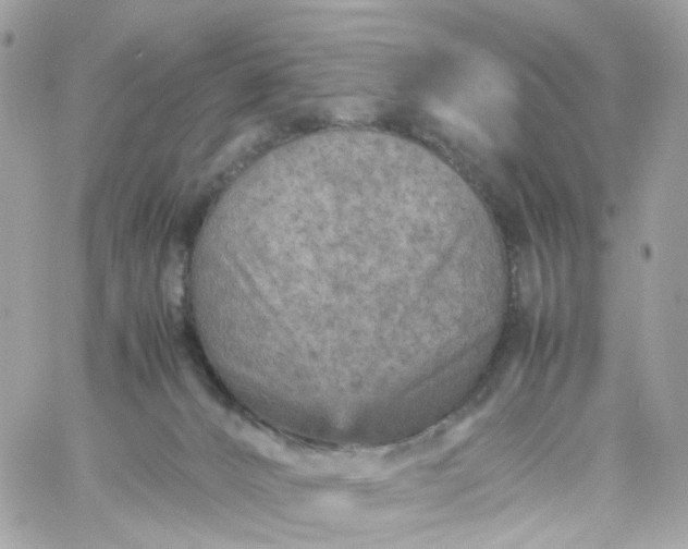 X0000059250032200510282007