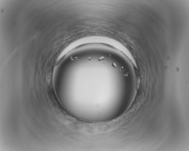 X0000059250033200510282007