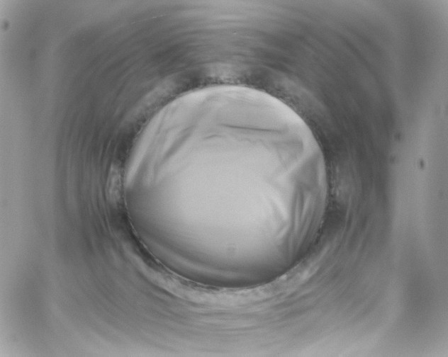 X0000059250036200510282007