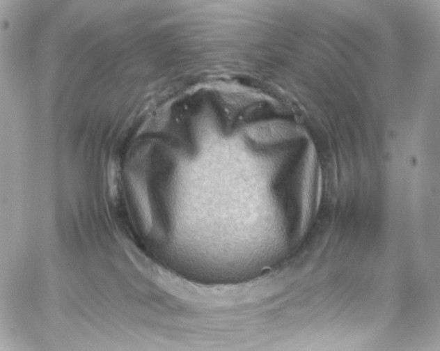 X0000059250038200510282007