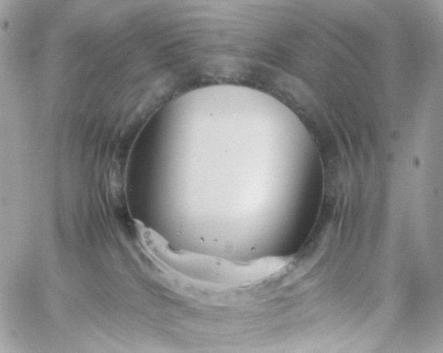 X0000059250040200510282007