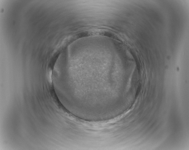 X0000059250041200510282007