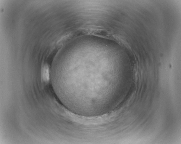 X0000059250042200510282007