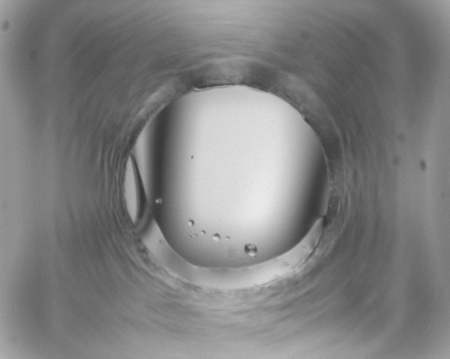 X0000059250045200510282007