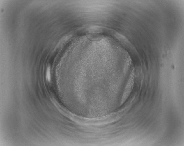 X0000059250046200510282007