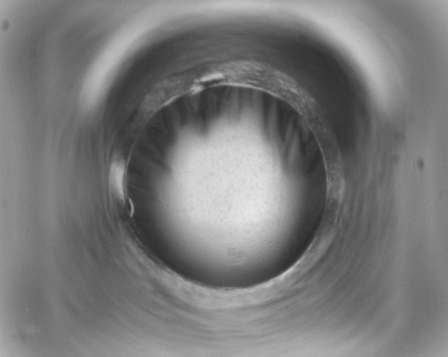 X0000059250047200510282007