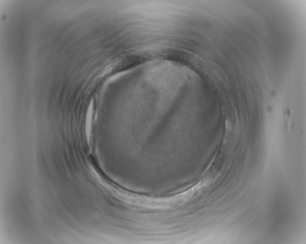 X0000059250048200510282007