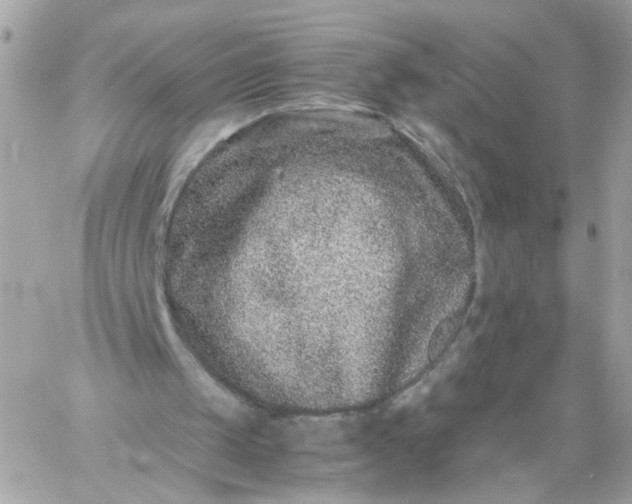 X0000059250049200510282006