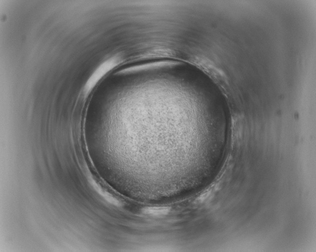 X0000059250051200510282006