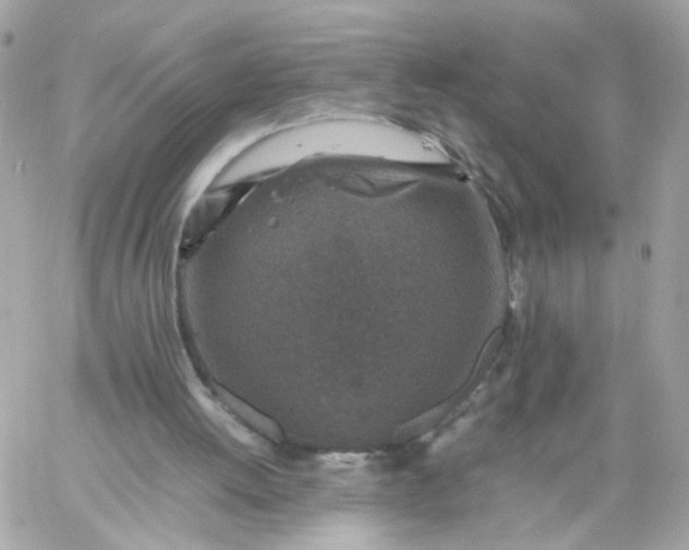 X0000059250052200510282006