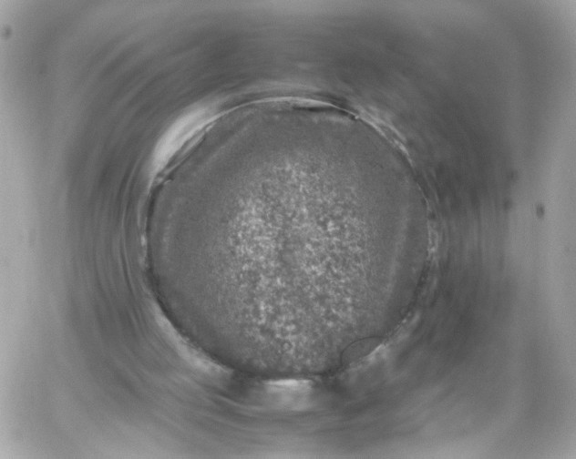 X0000059250053200510282006