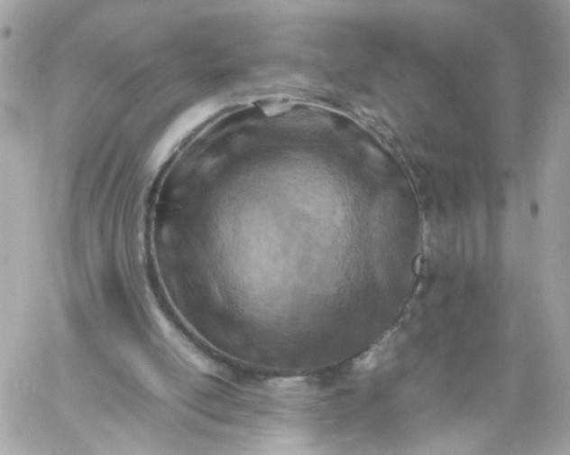 X0000059250054200510282006