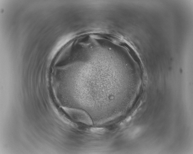 X0000059250055200510282006