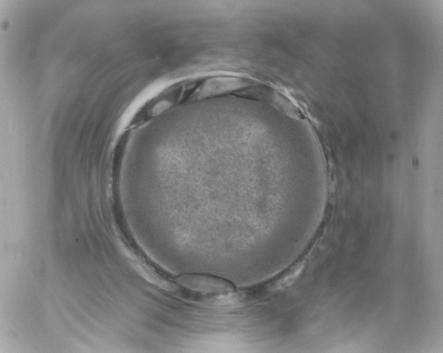 X0000059250056200510282006