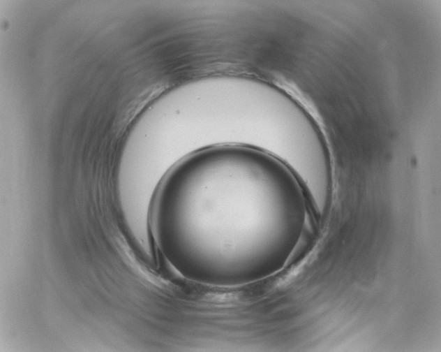 X0000059250057200510282006