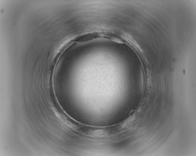 X0000059250058200510282006