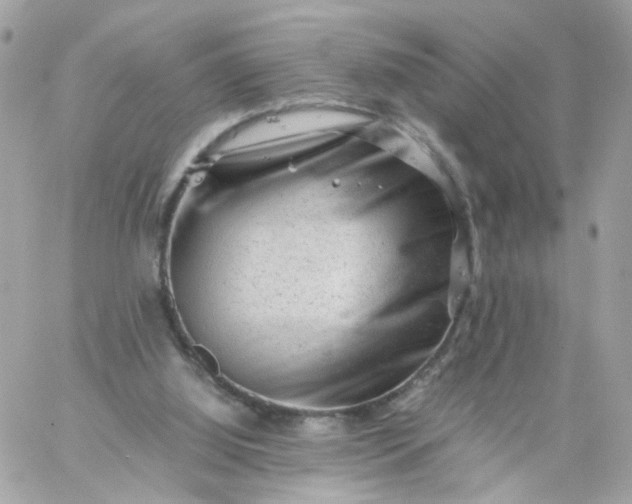 X0000059250060200510282006