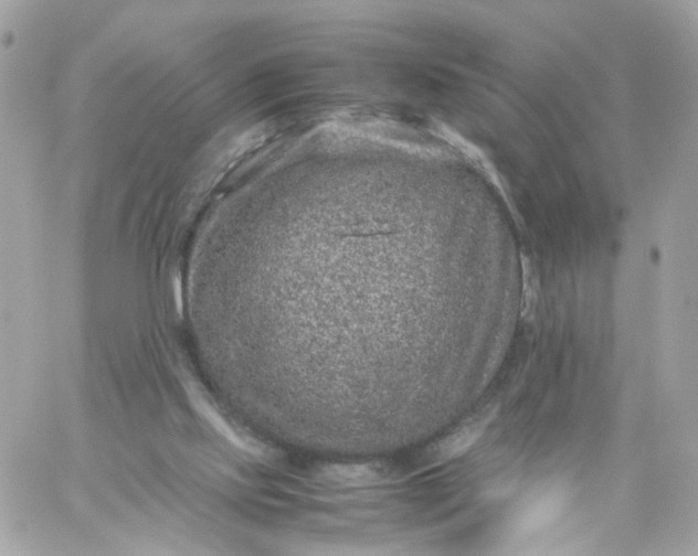 X0000059250061200510282006