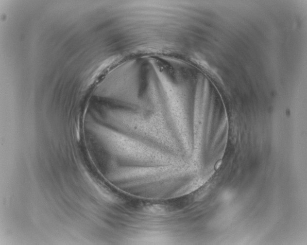 X0000059250062200510282006