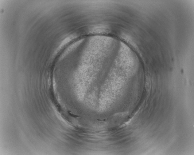 X0000059250063200510282006