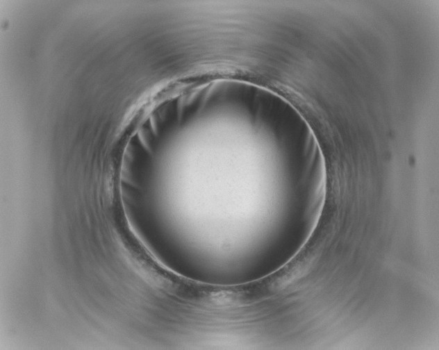 X0000059250064200510282006