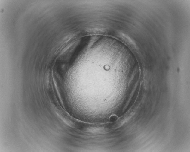 X0000059250065200510282006