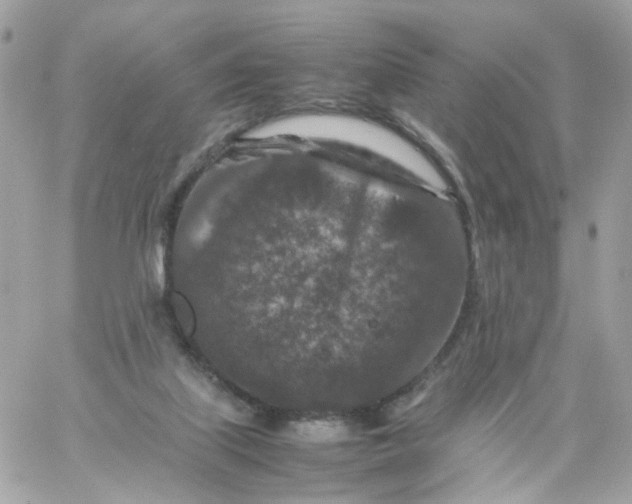 X0000059250067200510282006