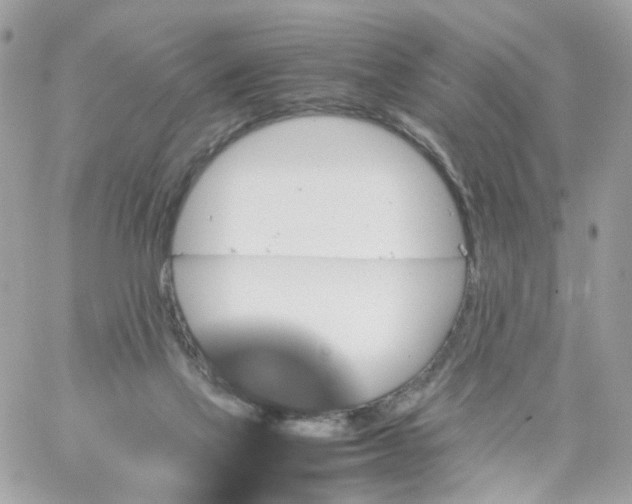 X0000059250069200510282006