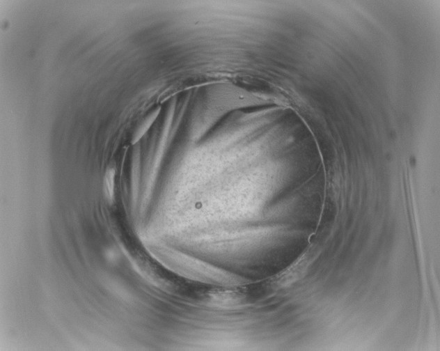 X0000059250070200510282006